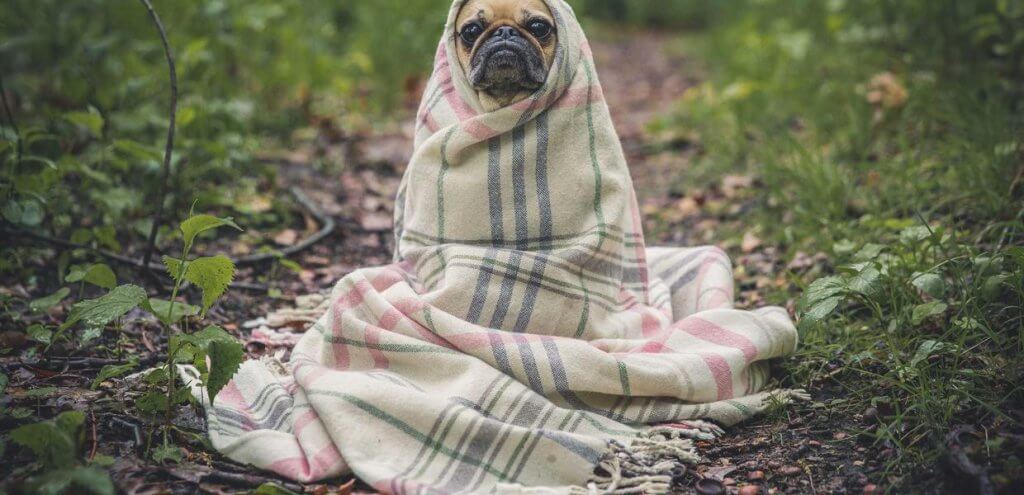 Day vs. Night Diapers: What Actually Matters