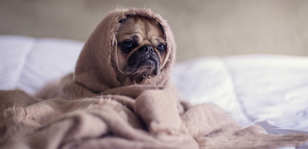 Training Pants vs. Diapers: When to Switch