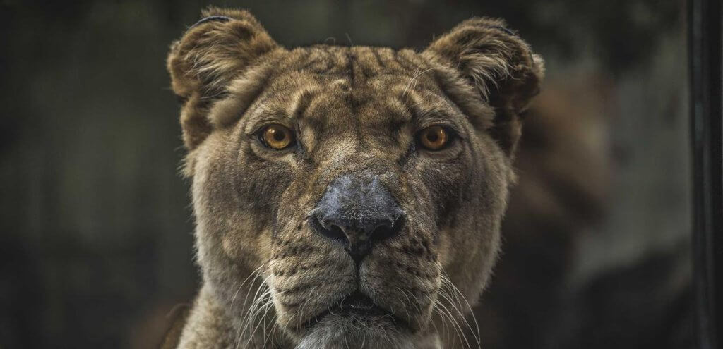 How to Avoid Blowouts: Fit, Position, and Timing