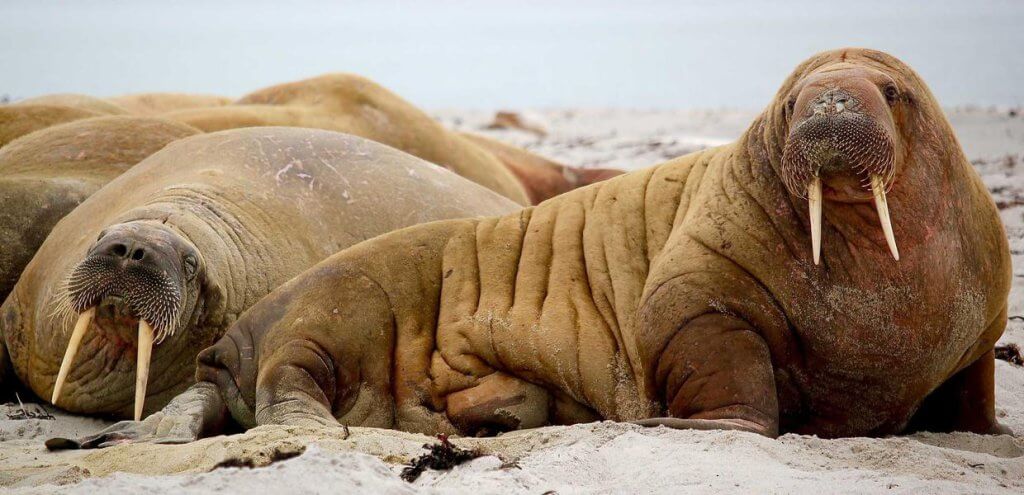 Breathable Diapers: What ‘Breathable’ Really Means