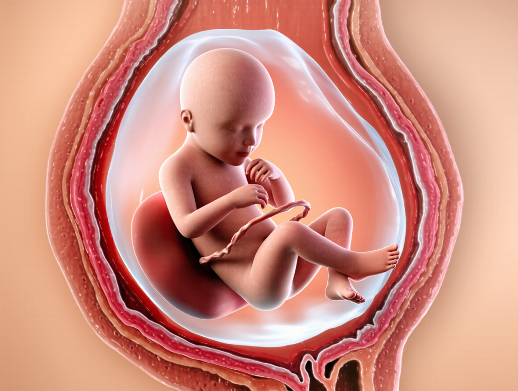 Do Babies Cry in the Womb