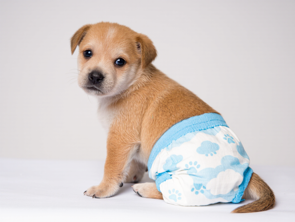 Puppy Diapers